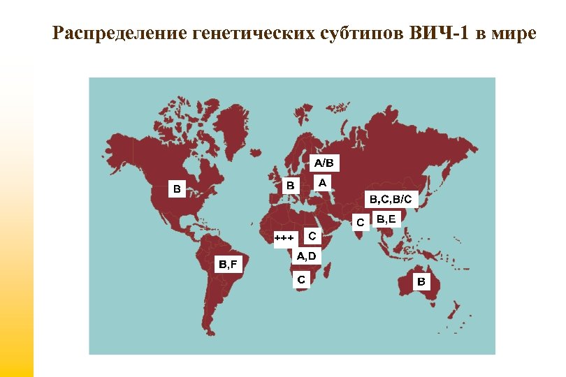 Распределение генетических субтипов ВИЧ-1 в мире 