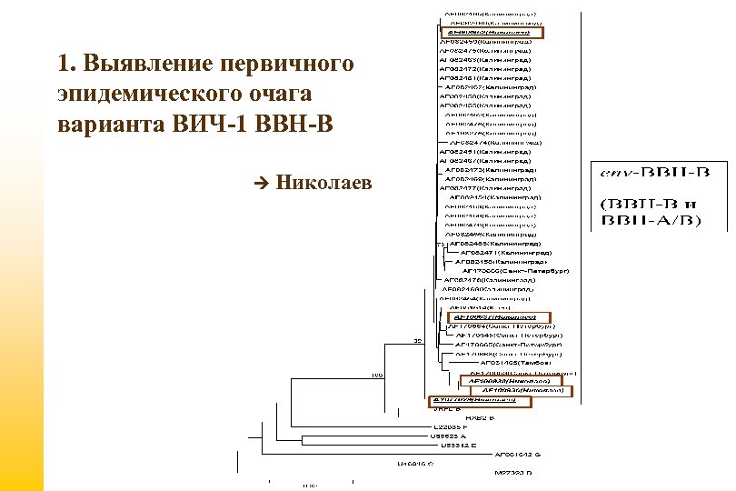 1. Выявление первичного эпидемического очага варианта ВИЧ-1 ВВН-В Николаев 