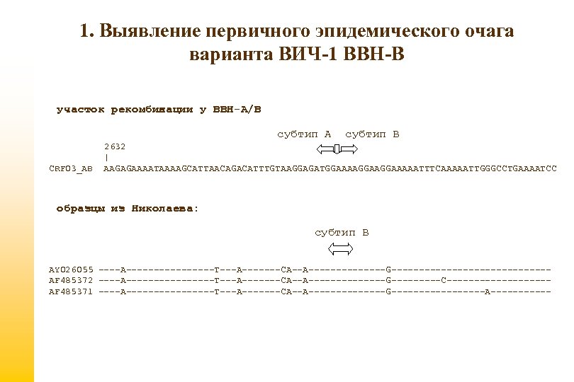 1. Выявление первичного эпидемического очага варианта ВИЧ-1 ВВН-В участок рекомбинации у ВВН-А/В субтип A