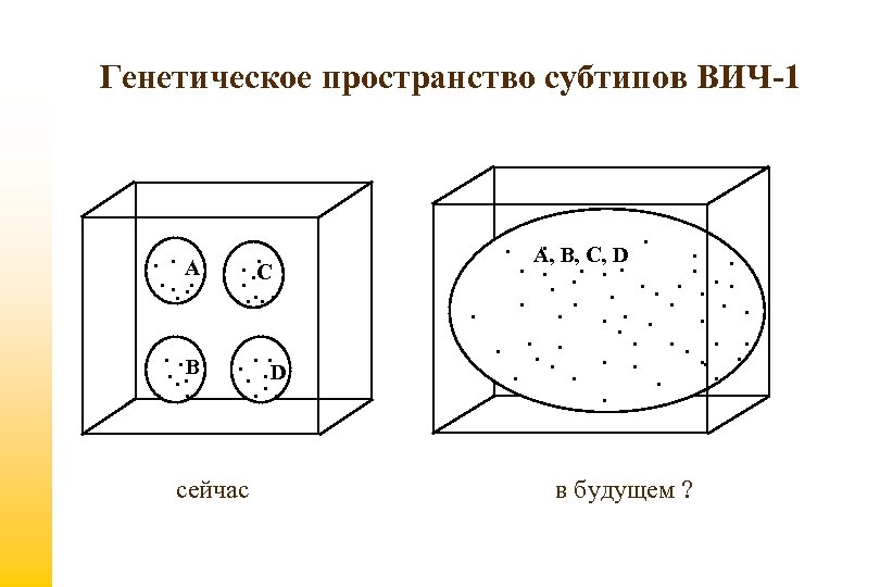 Генетическое пространство субтипов ВИЧ-1 . . A. . . . C. . . B.