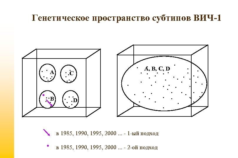 Генетическое пространство субтипов ВИЧ-1 . . A. . . . B. . . .
