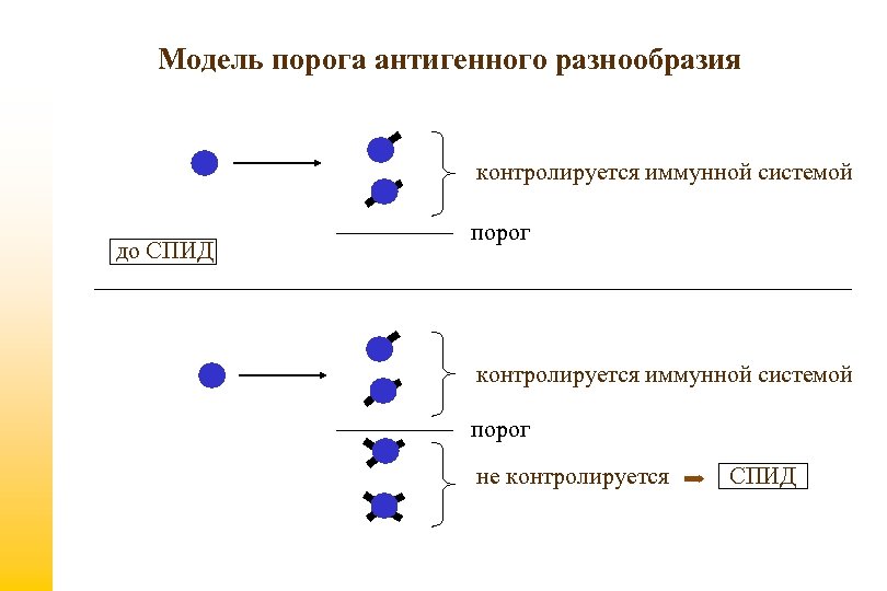 Модель порога антигенного разнообразия контролируется иммунной системой до СПИД порог контролируется иммунной системой порог