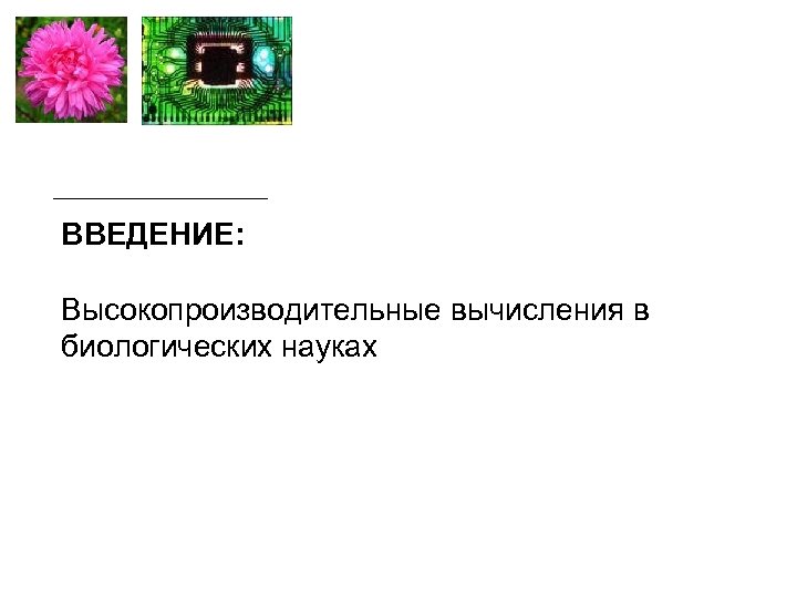 ВВЕДЕНИЕ: Высокопроизводительные вычисления в биологических науках 