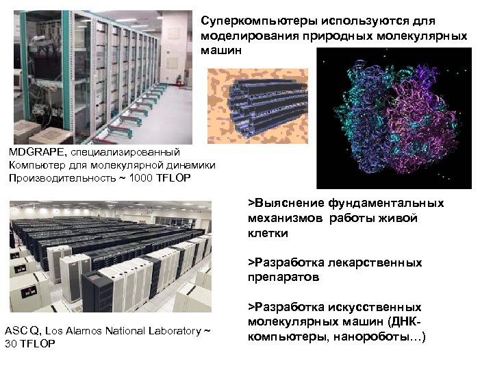 Суперкомпьютеры используются для моделирования природных молекулярных машин MDGRAPE, специализированный Компьютер для молекулярной динамики Производительность