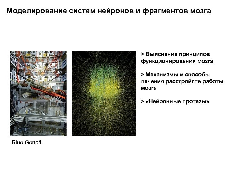 Моделирование систем нейронов и фрагментов мозга > Выяснение принципов функционирования мозга > Механизмы и
