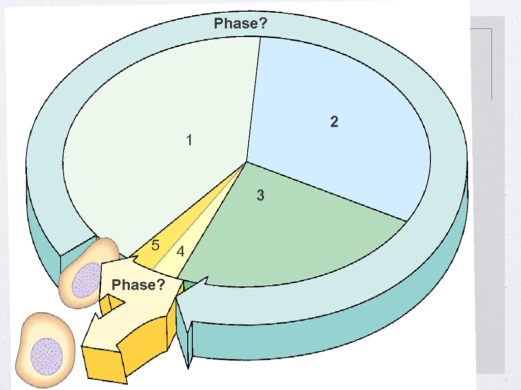 Phase? 2 1 3 5 Phase? 4 