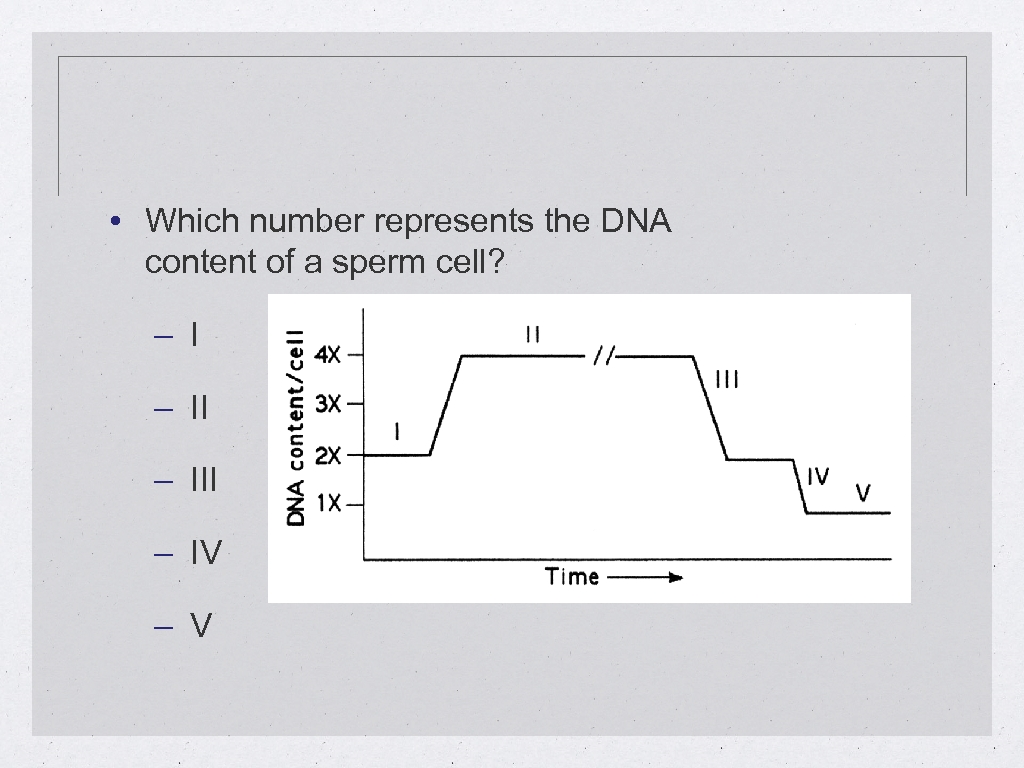  • Which number represents the DNA content of a sperm cell? – III