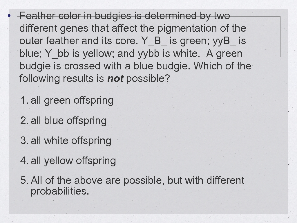  • Feather color in budgies is determined by two different genes that affect