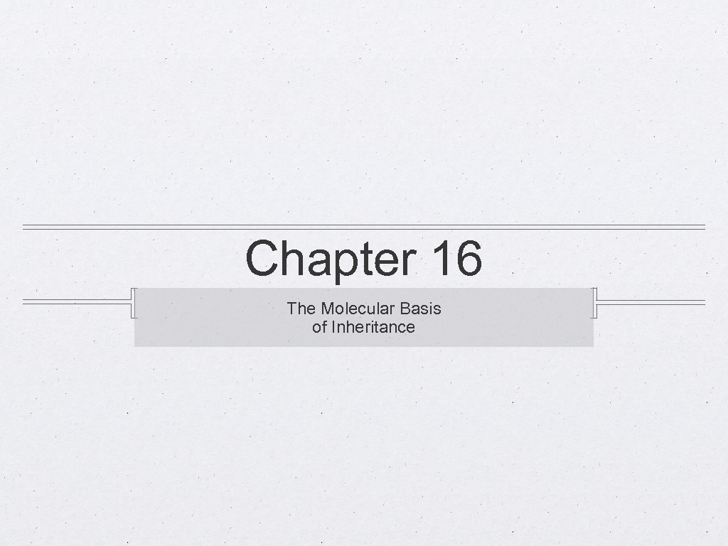 Chapter 16 The Molecular Basis of Inheritance 