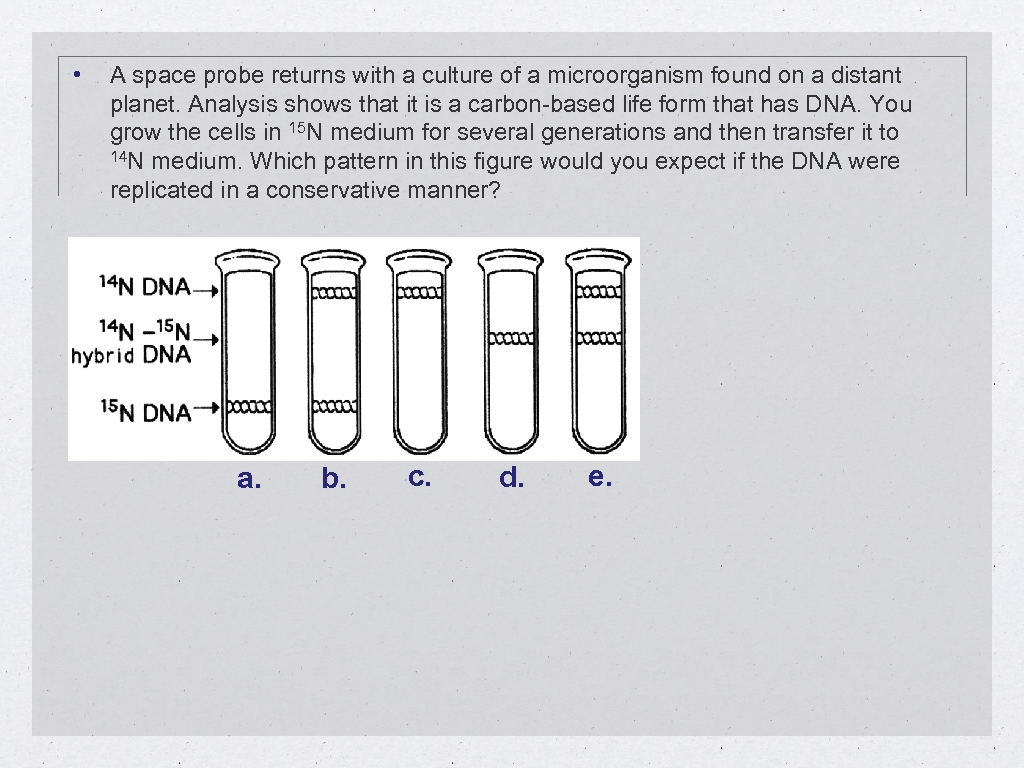  • A space probe returns with a culture of a microorganism found on