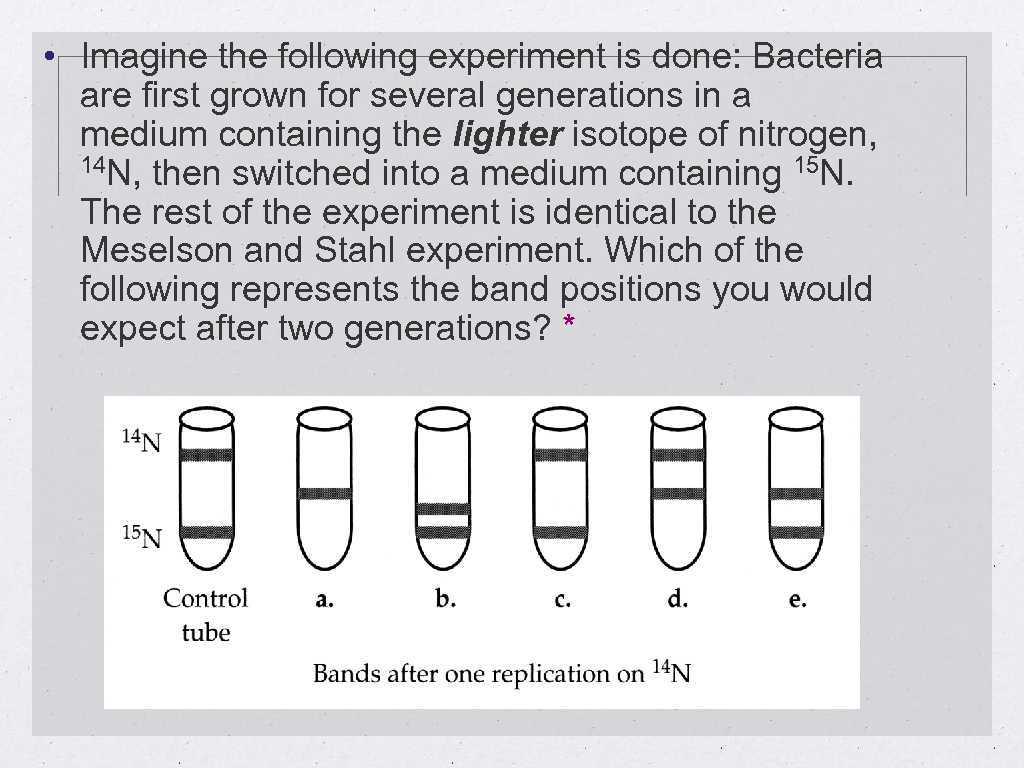  • Imagine the following experiment is done: Bacteria are first grown for several
