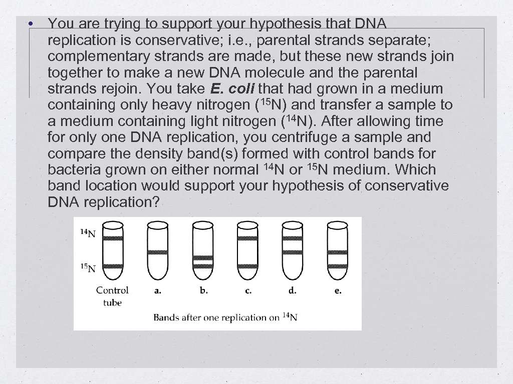  • You are trying to support your hypothesis that DNA replication is conservative;