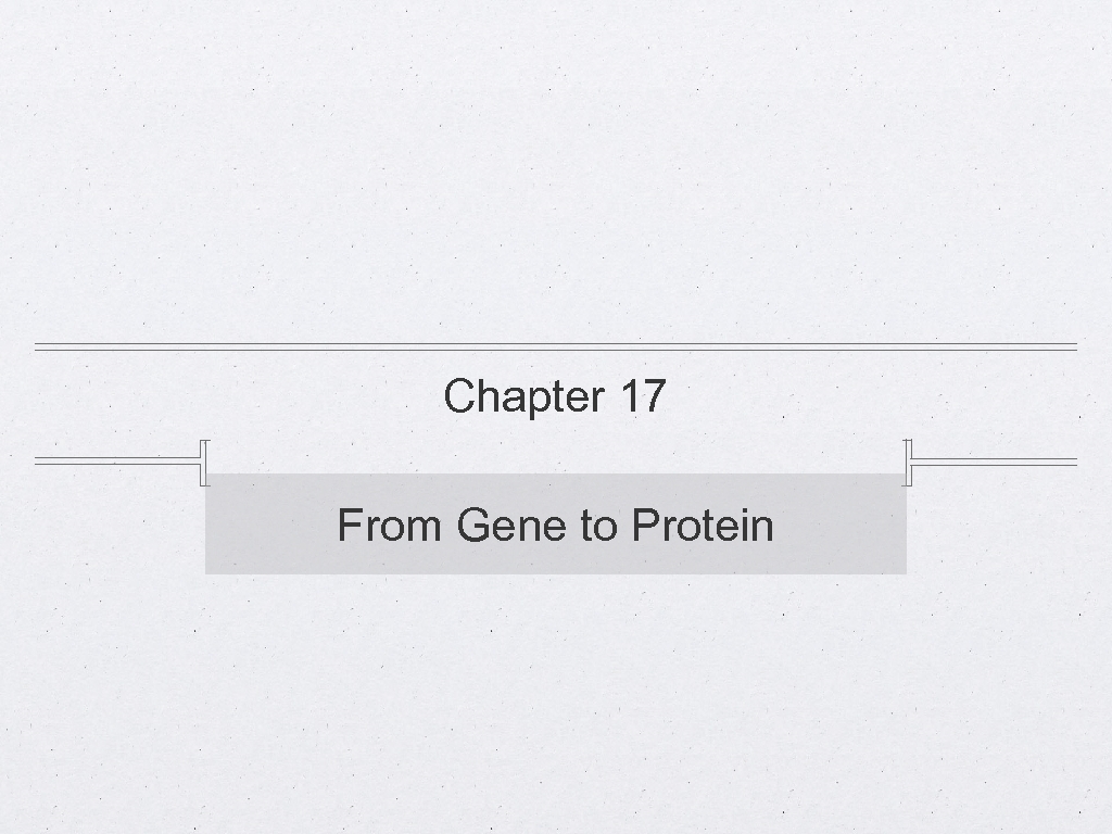Chapter 17 From Gene to Protein 