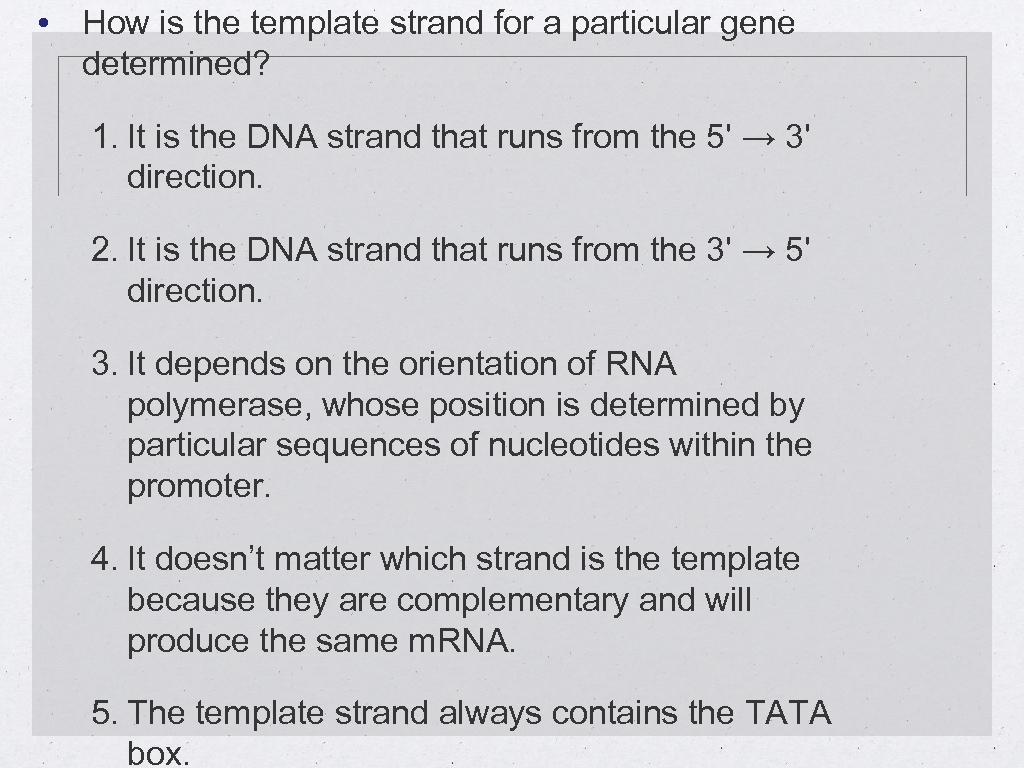  • How is the template strand for a particular gene determined? 1. It