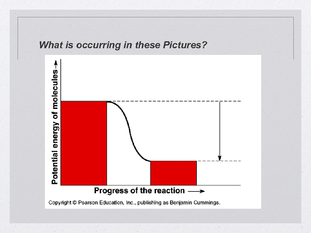 What is occurring in these Pictures? 