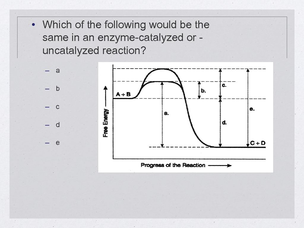  • Which of the following would be the same in an enzyme-catalyzed or