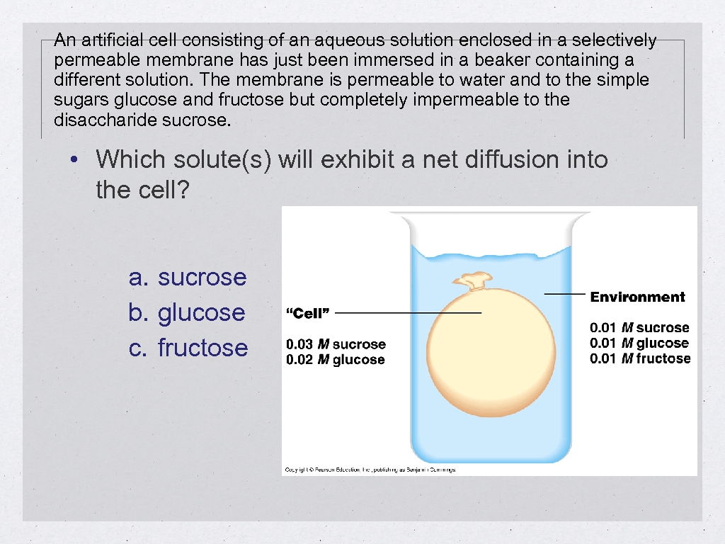 An artificial cell consisting of an aqueous solution enclosed in a selectively permeable membrane