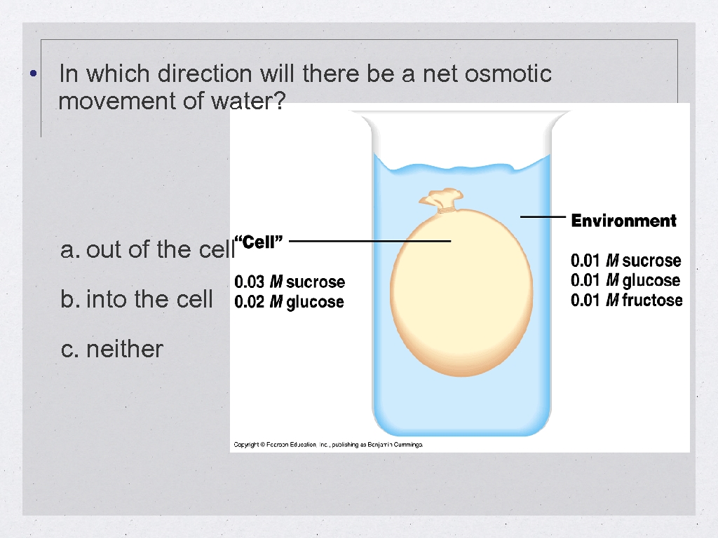  • In which direction will there be a net osmotic movement of water?
