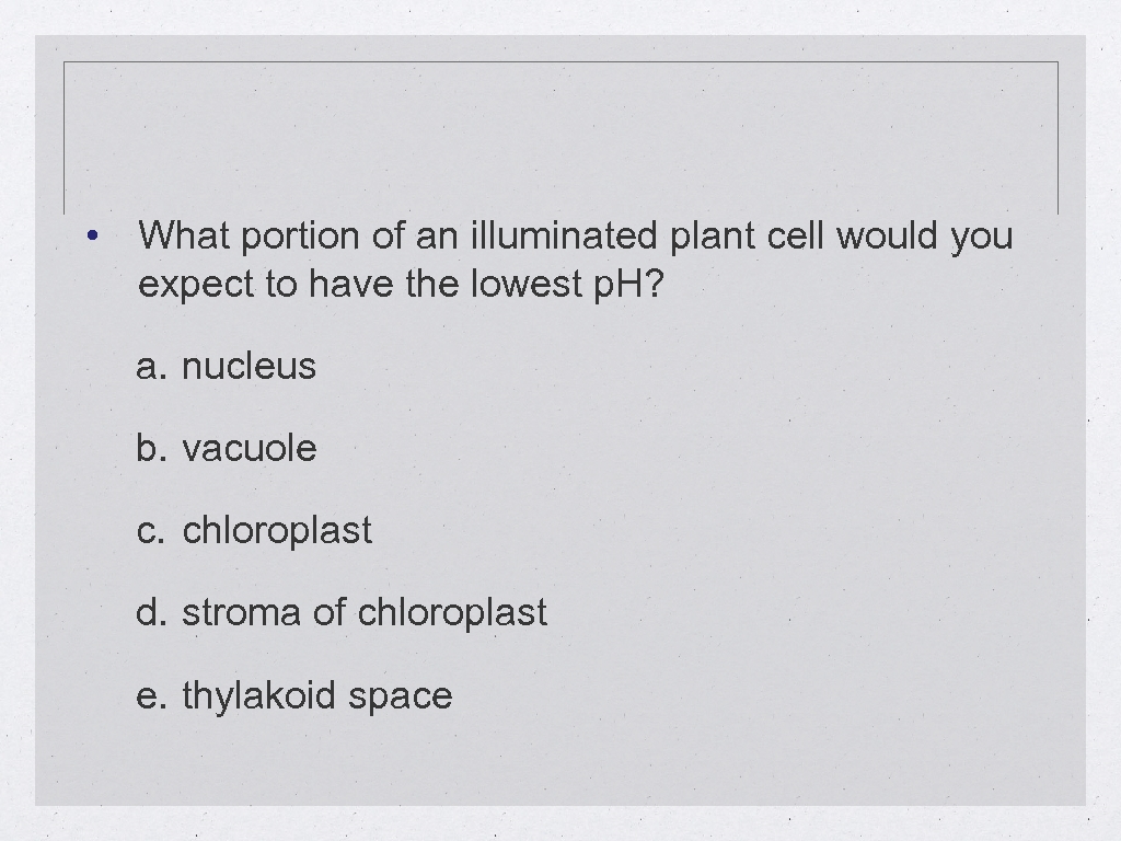  • What portion of an illuminated plant cell would you expect to have