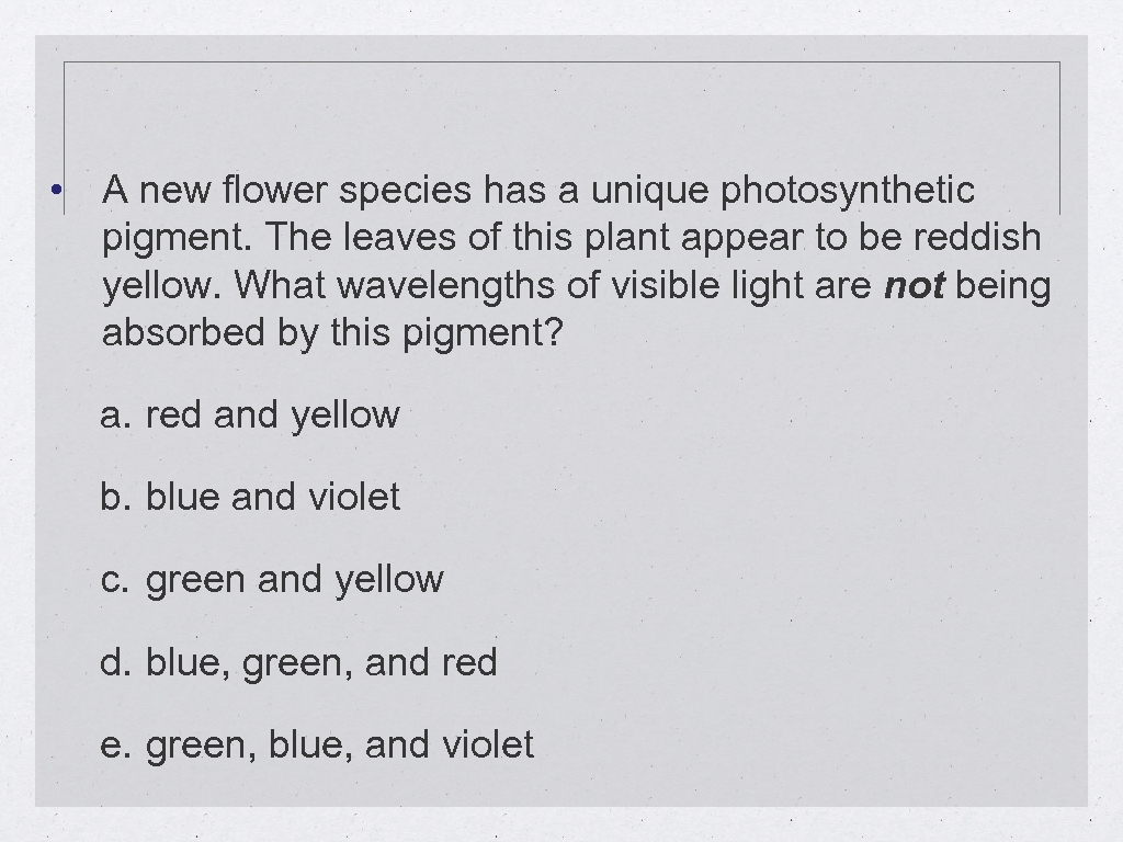  • A new flower species has a unique photosynthetic pigment. The leaves of