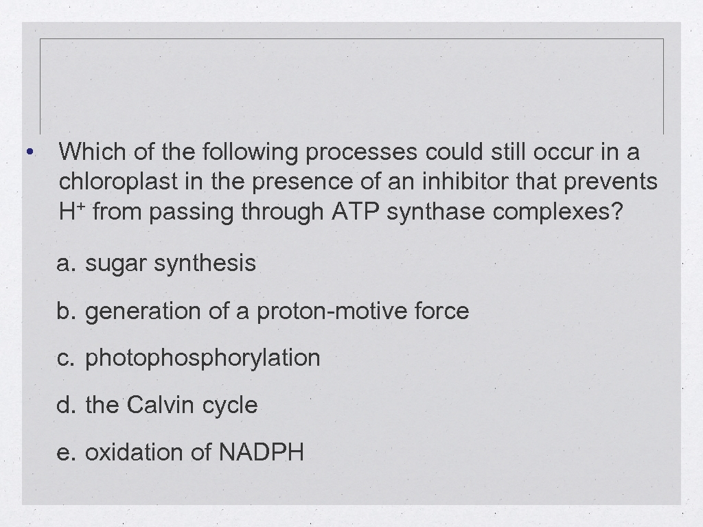  • Which of the following processes could still occur in a chloroplast in
