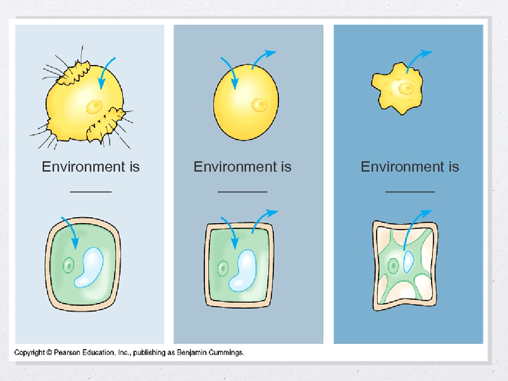 Environment is ______ 