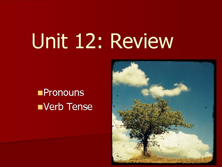 Unit 12: Review n. Pronouns n. Verb Tense 