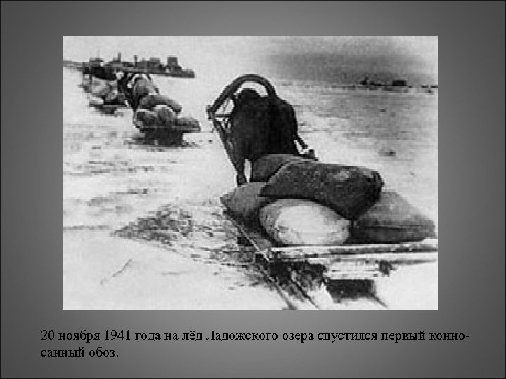 20 ноября 1941 года на лёд Ладожского озера спустился первый конносанный обоз. 