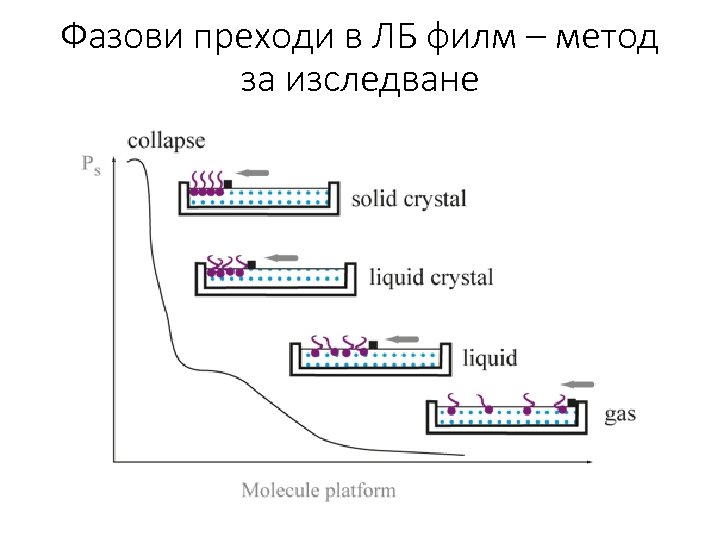 Фазови преходи в ЛБ филм – метод за изследване 