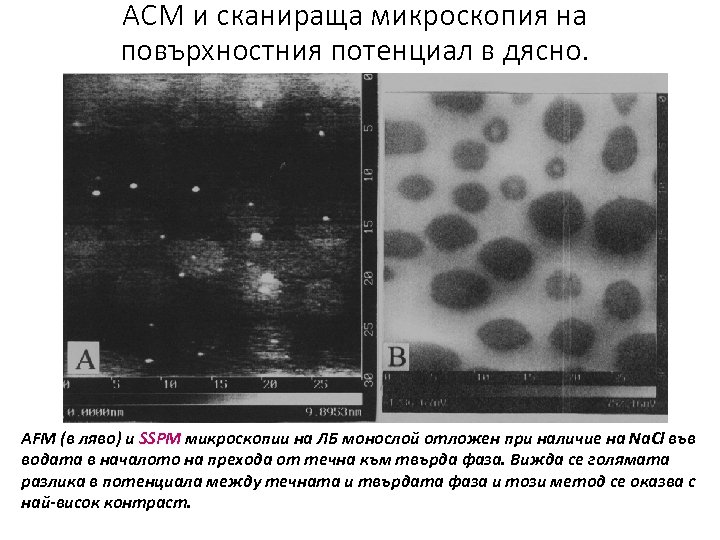 АСМ и сканираща микроскопия на повърхностния потенциал в дясно. AFM (в ляво) и SSPM