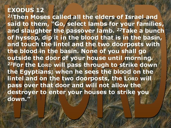 EXODUS 12 21 Then Moses called all the elders of Israel and said to