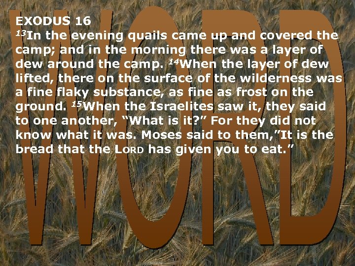 EXODUS 16 13 In the evening quails came up and covered the camp; and