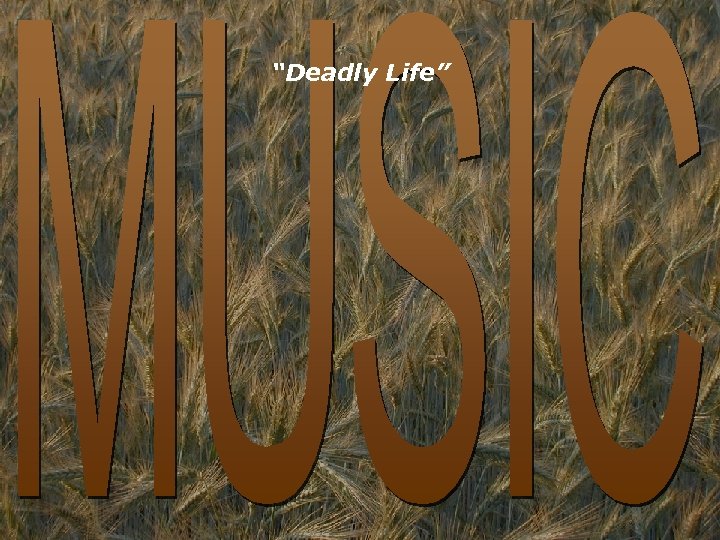 “Deadly Life” 