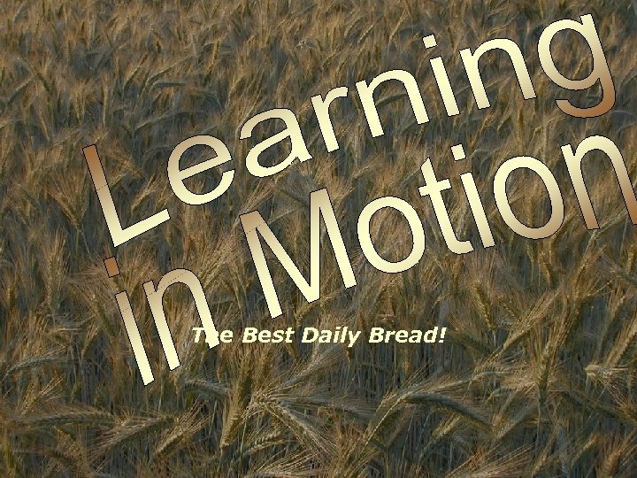 The Best Daily Bread! 