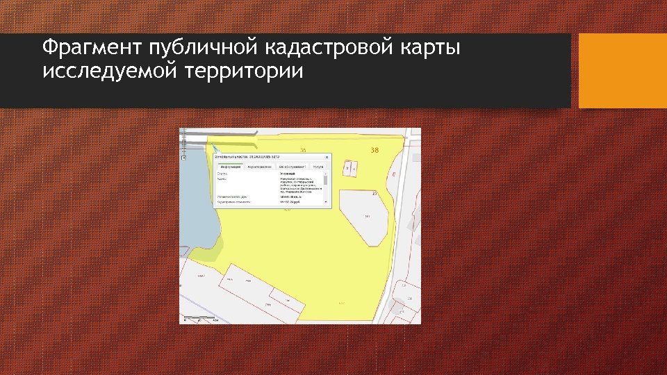Фрагмент публичной кадастровой карты исследуемой территории 