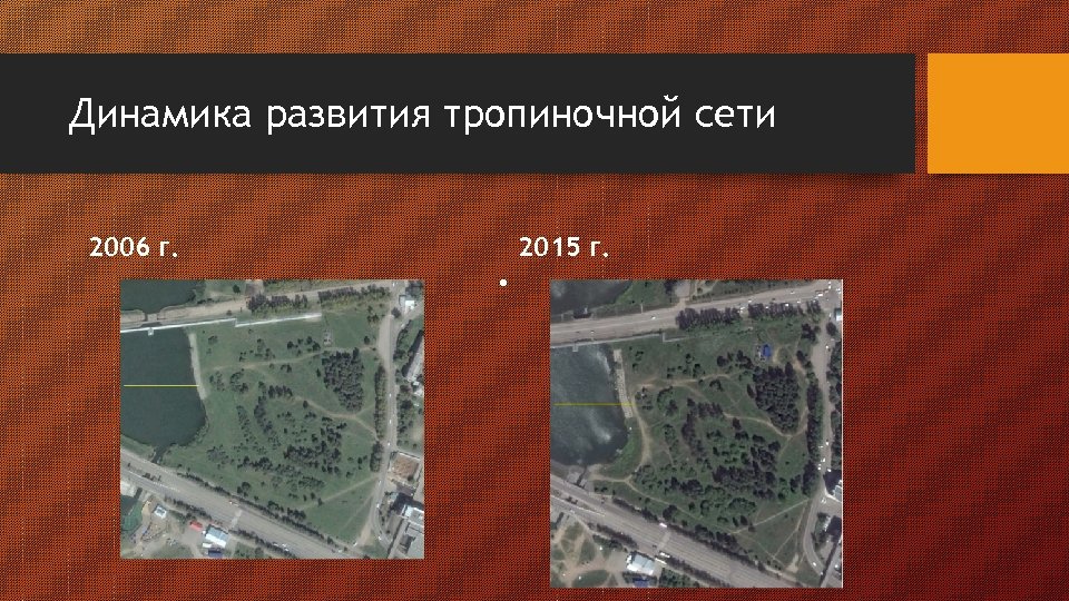 Динамика развития тропиночной сети 2015 г. 2006 г. • 