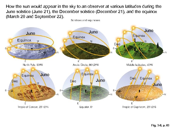 How the sun would appear in the sky to an observer at various latitudes