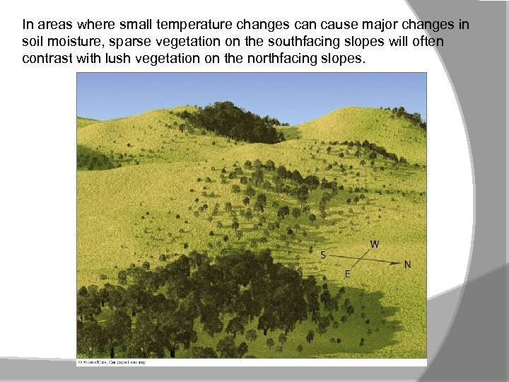 In areas where small temperature changes can cause major changes in soil moisture, sparse