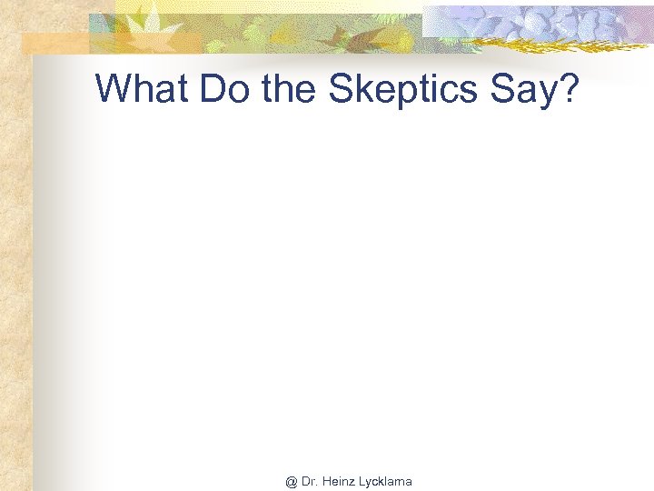 What Do the Skeptics Say? @ Dr. Heinz Lycklama 