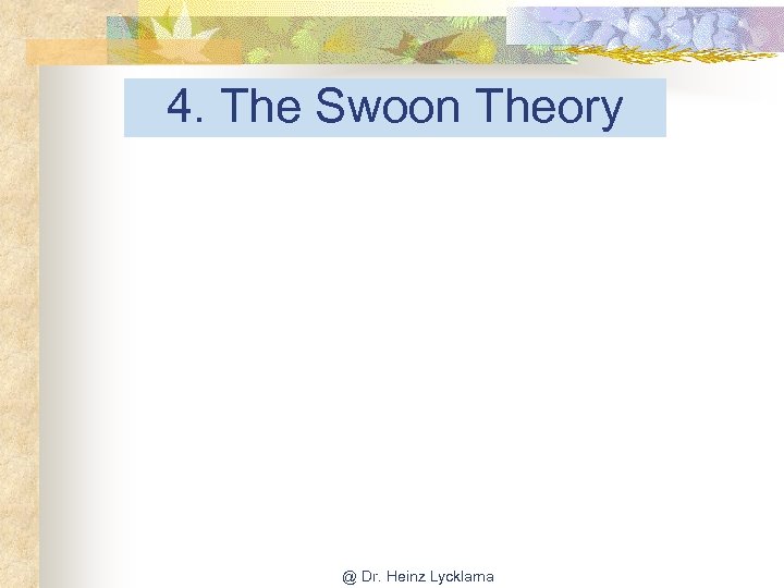 4. The Swoon Theory @ Dr. Heinz Lycklama 