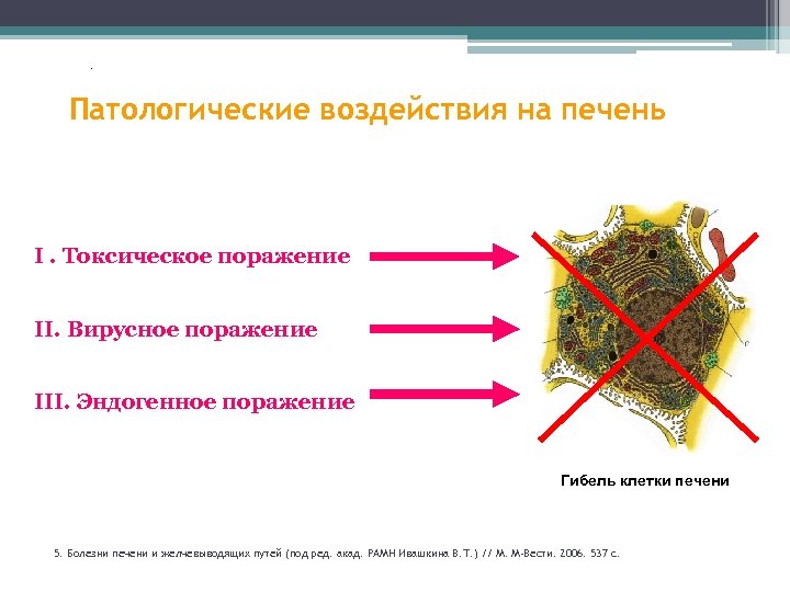 . Патологические воздействия на печень 35% I. Токсическое поражение 38, 2% 42% II. Вирусное