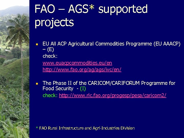 FAO – AGS* supported projects n n EU All ACP Agricultural Commodities Programme (EU