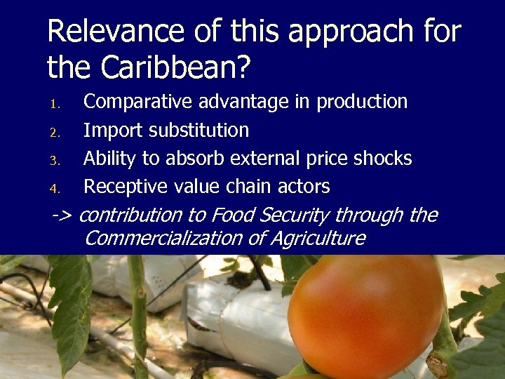 Relevance of this approach for the Caribbean? 1. 2. 3. 4. Comparative advantage in