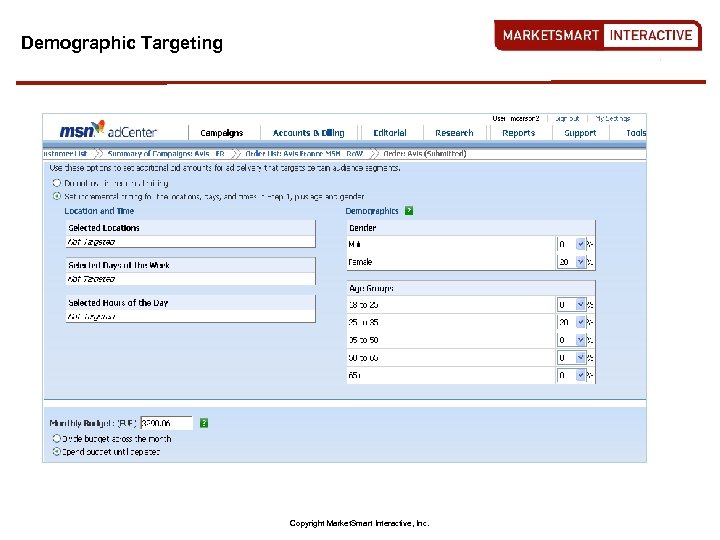 Demographic Targeting Copyright Market. Smart Interactive, Inc. 