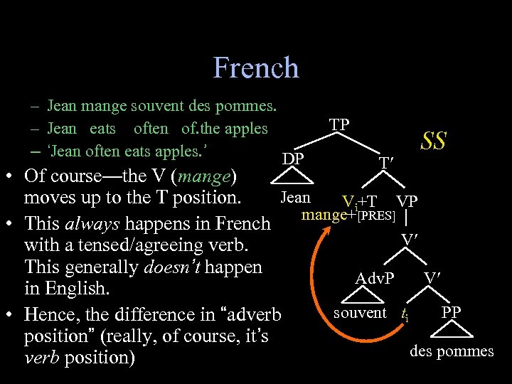 French – Jean mange souvent des pommes. – Jean eats often of. the apples