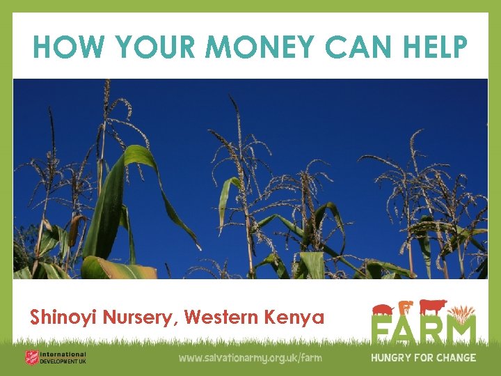 HOW YOUR MONEY CAN HELP Shinoyi Nursery, Western Kenya 