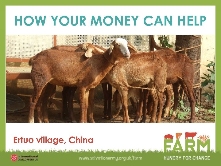 HOW YOUR MONEY CAN HELP Ertuo village, China 