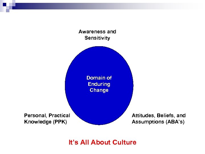 Awareness and Sensitivity Domain of Enduring Change Personal, Practical Knowledge (PPK) Attitudes, Beliefs, and