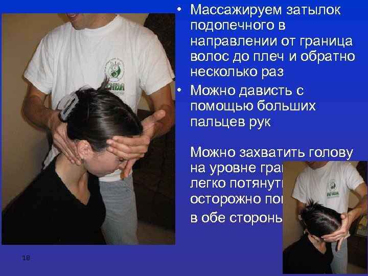  • Массажируем затылок подопечного в направлении от граница волос до плеч и обратно