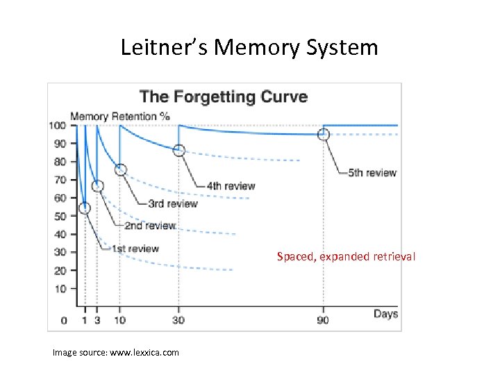 Leitner’s Memory System Spaced, expanded retrieval Image source: www. lexxica. com 